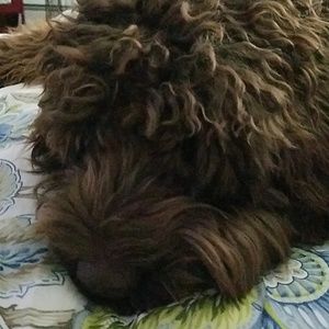 Meet your Posher, Renata